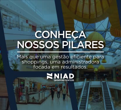 Pilares NIAD thumbnail