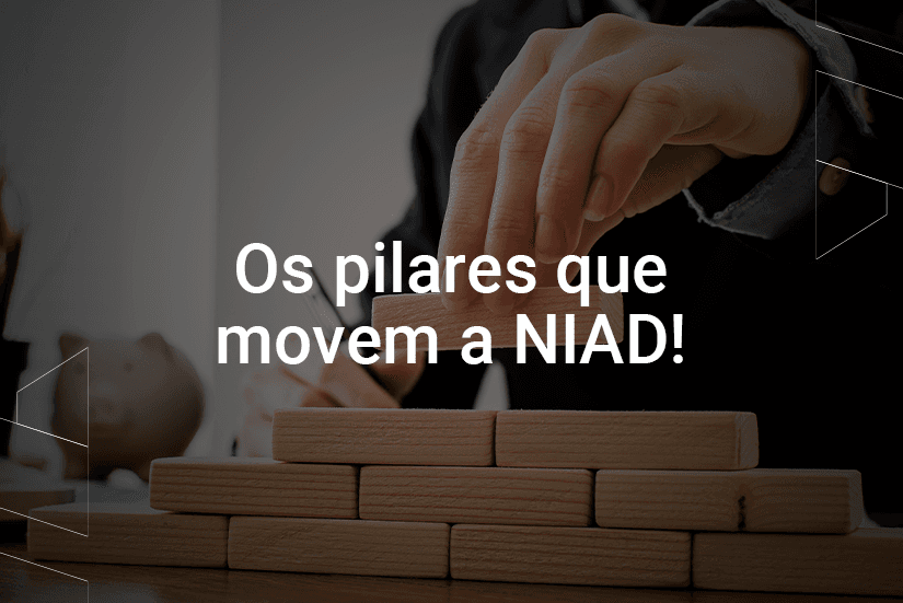 Pilares NIAD thumbnail